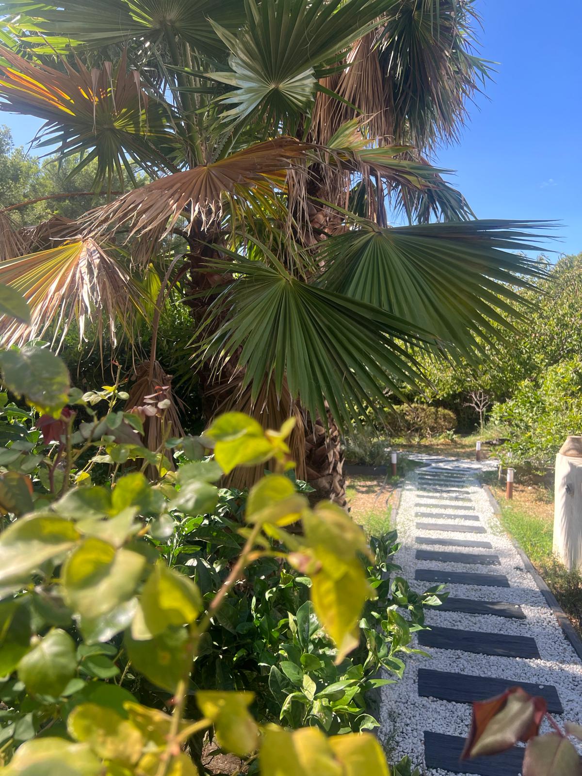 jardin1
