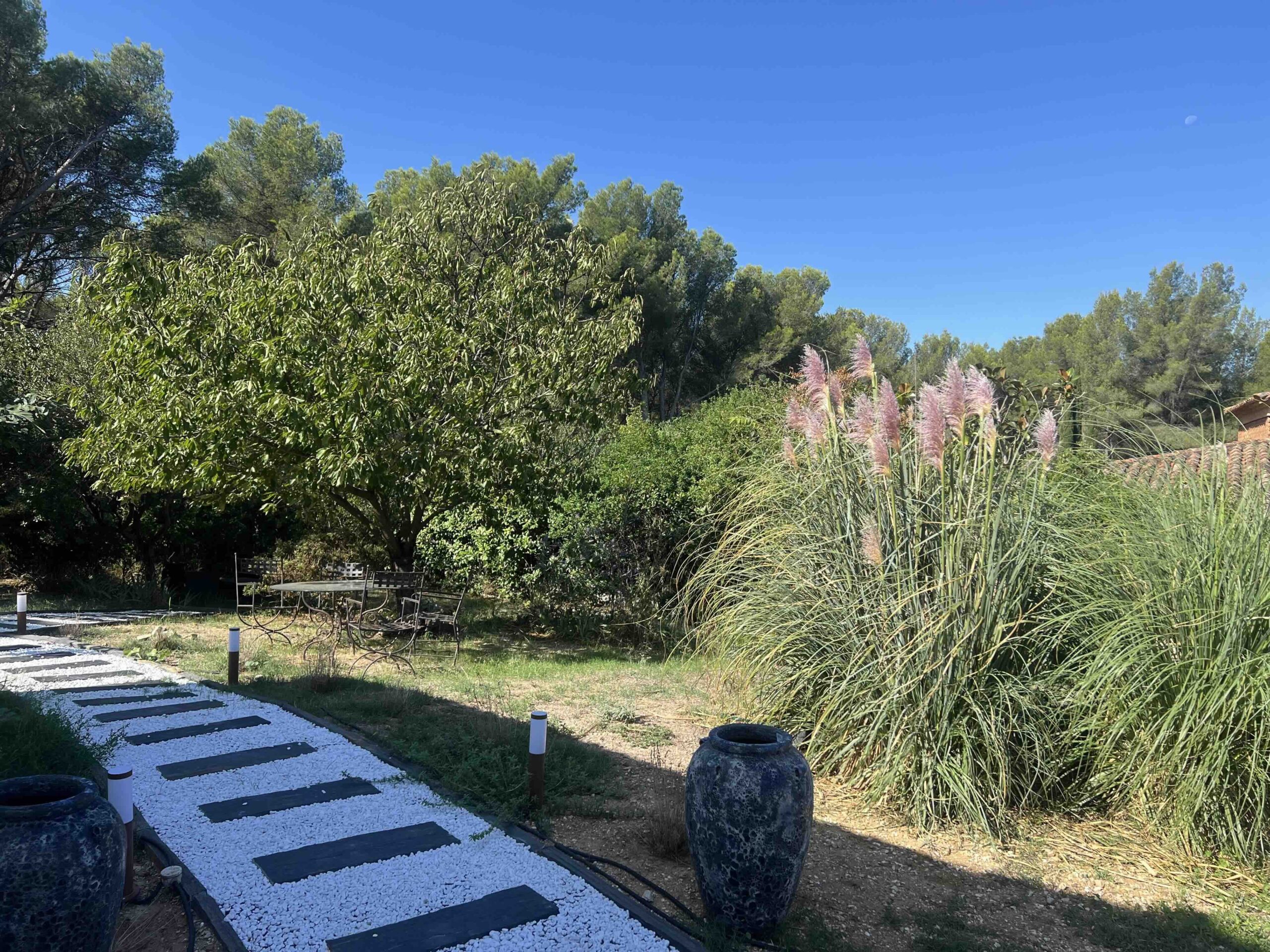 jardin4