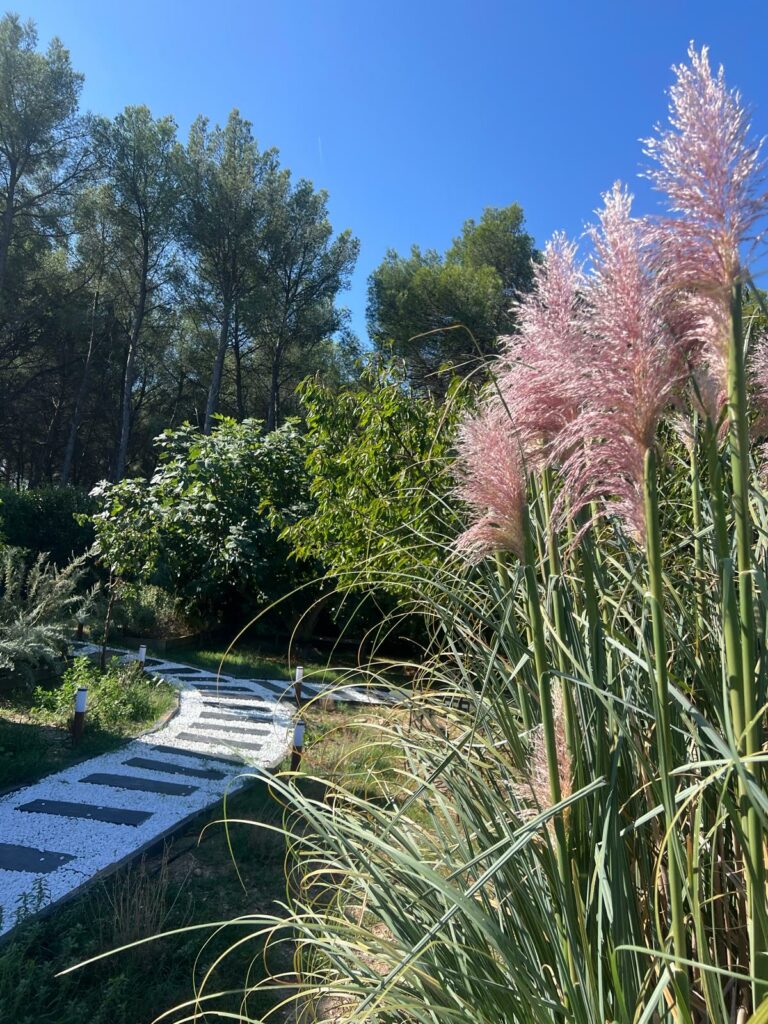 Jardin Pandora Suite Sanary